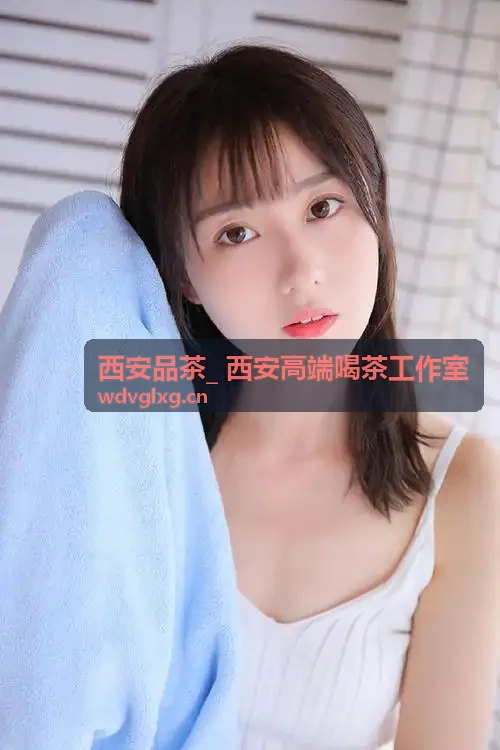 西安品茶古树茶品鉴专区